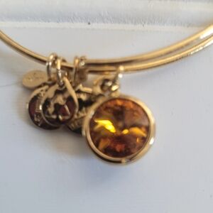 Orange Birthstone Alex and Ani Charm Bangle Bracelet a48